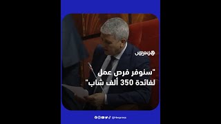 الصديقي: “سنوفر فرص عمل لفائدة 350 ألف  شاب في المجال الفلاحي” thumbnail