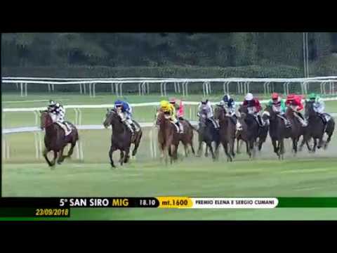 2018.09.23 Premio Elena e Sergio Cumani (ITA) - Binti Al Nar