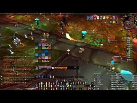 WOW Classic BloodyRed SSC Leotheras the Blind - Prot Paladin POV