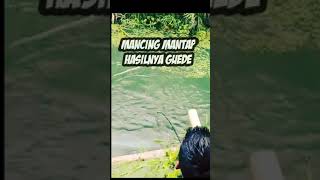 Download lagu mancing ambyar terbaru 2021 spot sarang ikan terbesar#shorts mp3 Download lagu mancing ambyar terbaru 2021 spot sarang ikan terbesar#shorts mp3