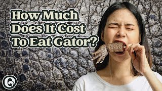 Does Alligator Really Taste Like Chicken