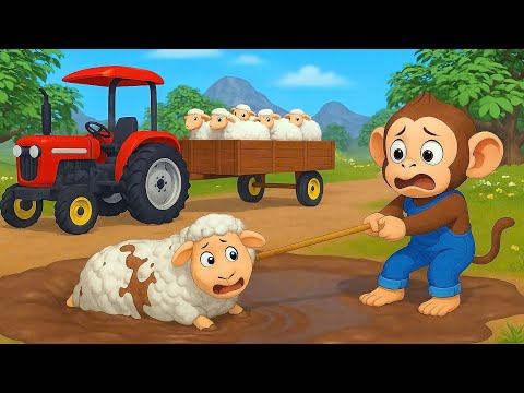 Sheep Stuck In The Mud Puddle, Kind Monkey Farmer Pulls Sheep Out Of The Mud | Cobby Farm