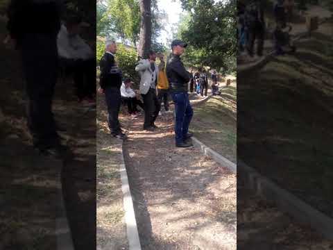 Dansatorul din plopana