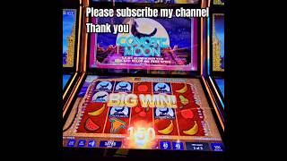 Big win on Coyote 🌙 #slot #slotscasinogames #casinogame #casino #fourwindscasinos #casinogames