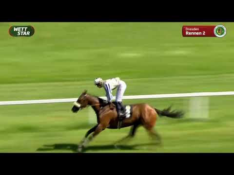 Galopprennbahn Dresden  - 14 08 2021   2.Rennen