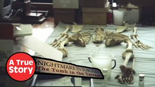 Nightmare in Suburbia: Tomb in the Terrace S2E3 | A True Story