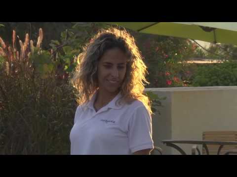 Vidéo YouTube - gU2BaFMeGz0