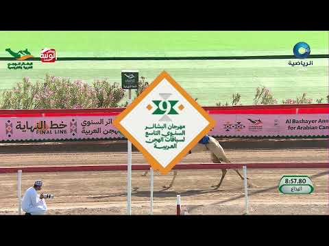 ملخص السباق , مهرجان البشائر السنوي 2026/2/4 ايذاع 