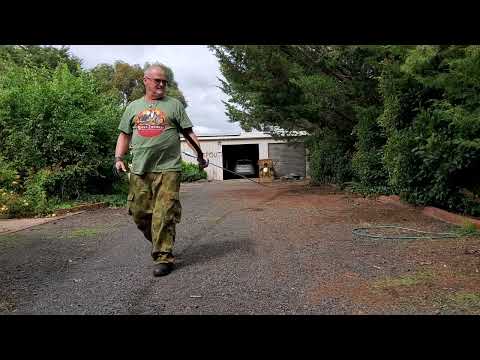 30 meters practicing with a barebow only........Boom!