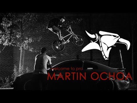 MARTIN OCHOA - WELCOME TO ANIMAL PRO