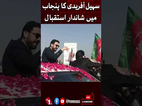 سہیل آفریدی کا پنجاب میں شاندار استقبال