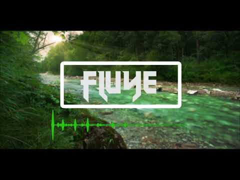Fluye - Seikoh