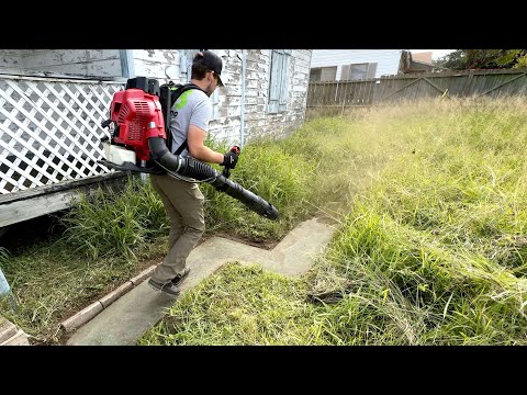 I almost GAVE UP after spending 18 HOURS cleaning up this lawn