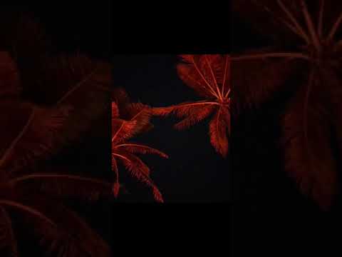 Cupid remix by 808glocky