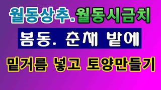 [텃밭농부. 1,248]  월동상추, 월동시금치, 봄동. 춘채밭에 밑거름 넣고 토양만들기