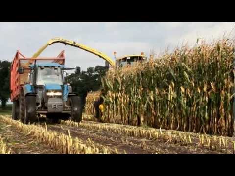 New Holland FX 58 - Loonbedrijf Bril - Mais hakselen / Maize 2012