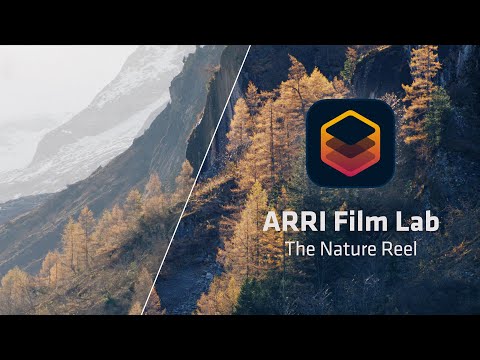 ARRI Film Lab - The Nature Reel