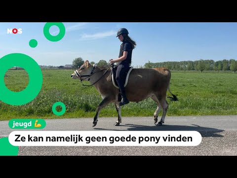 Lieke rijdt niet op een pony, maar op een koe