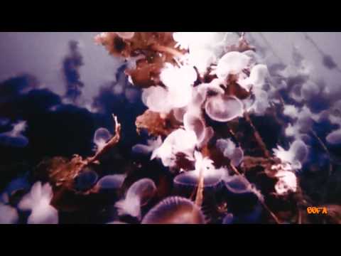 Enigma & D-Emotion Project - Cang Ding