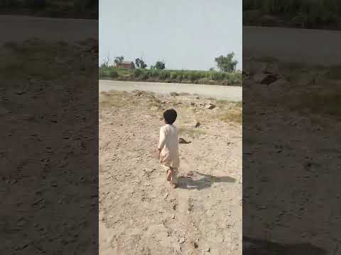 🤌🥲 #food #newharyanvisong #birthdaycake #subscribe #minivlog #vbloger #dreamcake