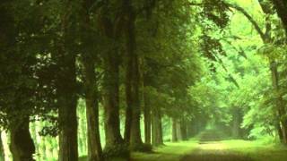 Download lagu سورة القلم - يوسف كالو _ Surat Al-Qalam - Yousef Kalo mp3 Download lagu سورة القلم - يوسف كالو _ Surat Al-Qalam - Yousef Kalo mp3