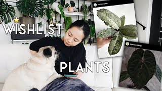 2021 wishlist reflection + new plants on my wishlist!