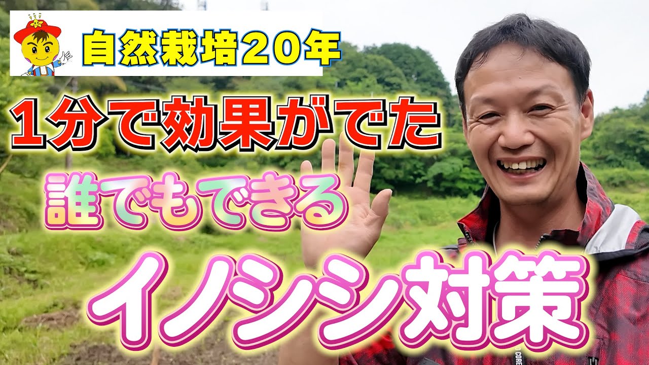 【自然栽培362】1分で効果抜群イノシシ対策!