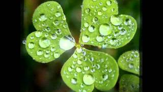 Rain Love  Peter Cetera