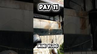 Day 11 of Mine Vlog 👾#food #collegelife #consistency #desipline #viralvideo #fun #motivation #4k