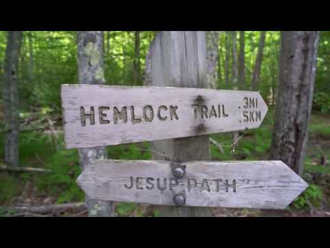 The Threat of Invasive Species