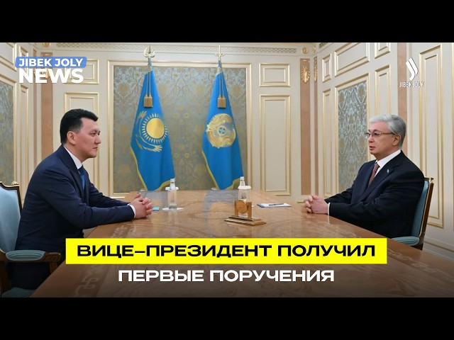 Глава государства принял Вице-Президента РК