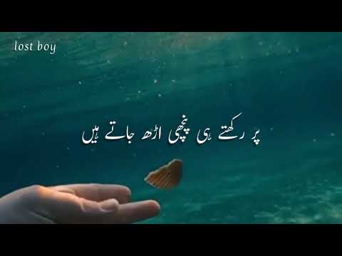 Zoe Viccaji - Ishq Kinara | Urdu Lyrics.
