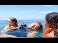 Dead Sea 2024 Explained In Hindi Urdu Dead Sea Flycatcher Full Summarized हिन्दी