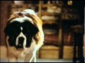 [HD720p] Beethoven 2: La familia crece 1993 Pelicula Completa en español Latino Online repelis