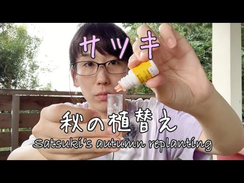 ラグーミニの木 (Prunus Tomentosa) を植える時期と、この崇高な果樹の世話をする方法は何ですか?  庭園