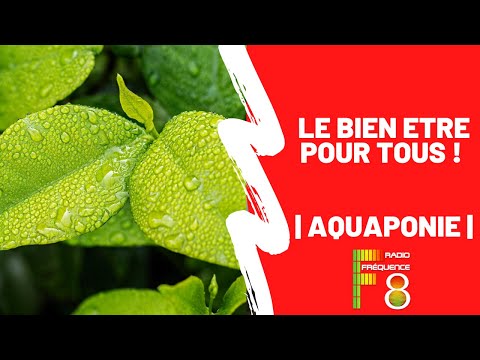 , title : 'Le Bien Etre pour Tous | Aquaponie'
