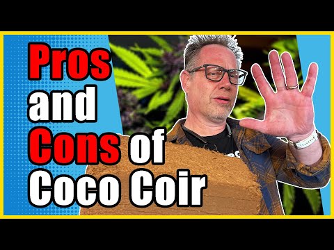 Don't Grow Your Cannabis in Coco Coir Unless You Know About THIS