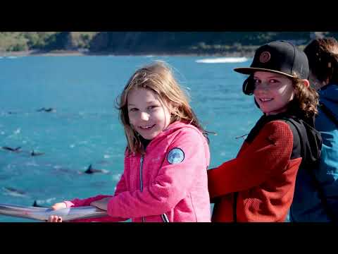 [2026] 凱庫拉 Kaikōura : 賞鯨之都 Top 5 景點推薦 & 美食住宿全攻略 - Tim Ting Travel