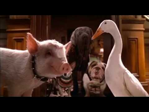 Babe 2: Pig In The City (1998) - Trailer