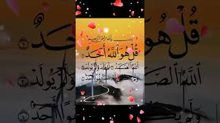 Download lagu #sura eklas# modura konte shorts video 🌹❤️🌹🌹🩷 mp3 Download lagu #sura eklas# modura konte shorts video 🌹❤️🌹🌹🩷 mp3