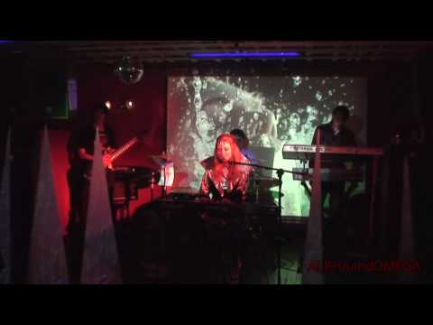 Dasha Luxe - Paper Boy