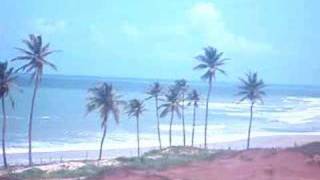 preview picture of video 'Imóveis nas Praias do Ceará, Loteamento Praia de Lagoinha'