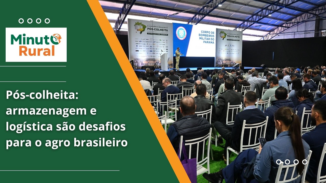 Pós-colheita: armazenagem e logística são desafios para o agro brasileiro