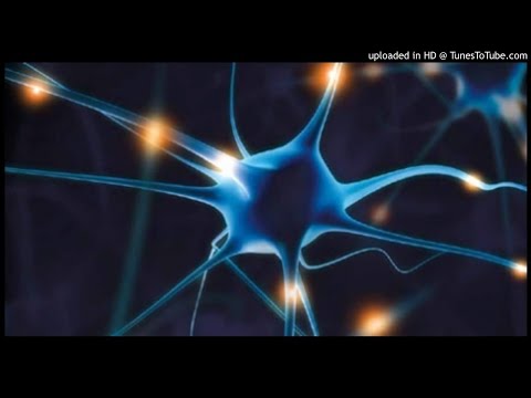 Siloquez - Neurofukk (Breaks)