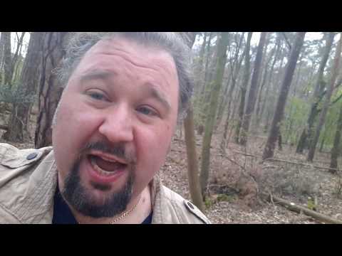 "Wie ein Baum in der Erde, so sollt ihr in Christus fest verwurzelt bleiben!" Kolosser 2,7 (HfA):