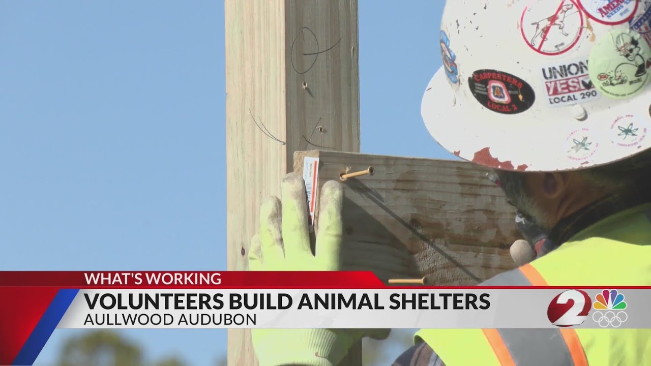 Volunteers build animal shelters for Aullwood Audubon