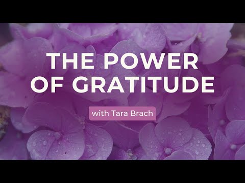 Gratitude: Entering Sacred Relationship with Tara Brach