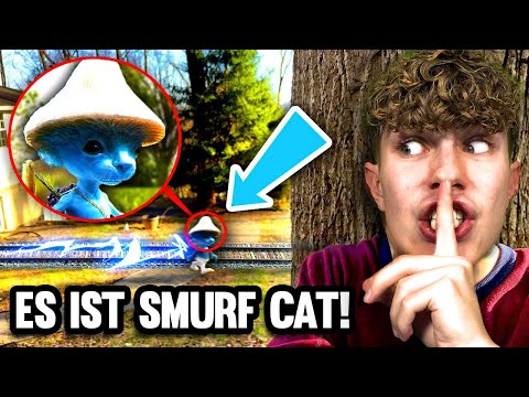 ICH FINDE SMURF CAT in REAL LIFE um 3 UHR NACHTS!!