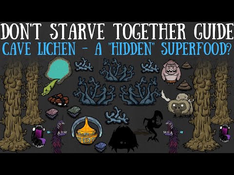 Don't Starve Together Quick Bit Guide: Lichen