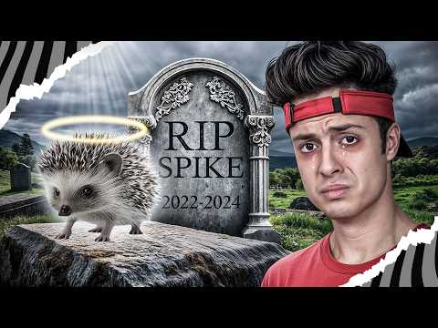 INFELIZMENTE O SPIKE NÃO SOBREVIVEU!